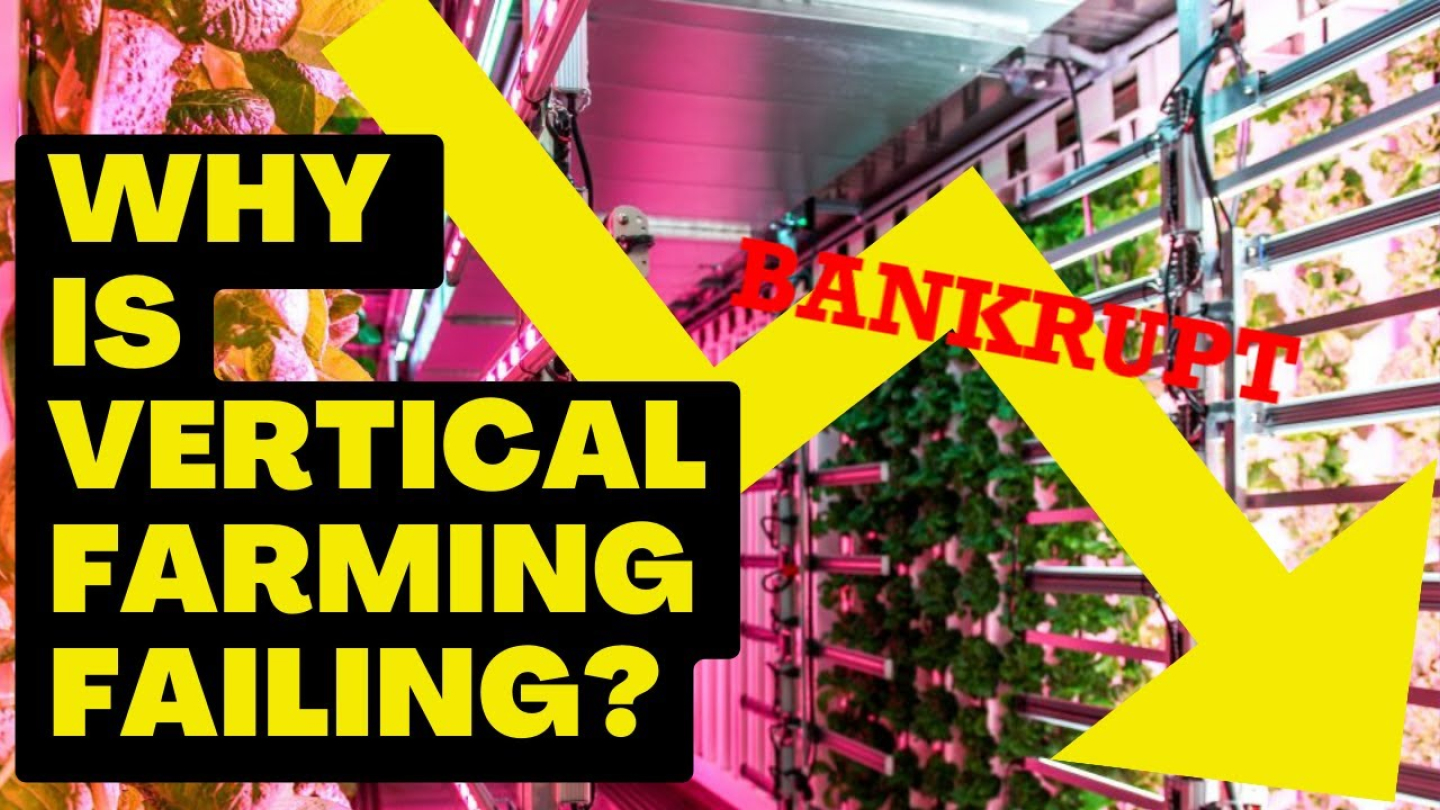 Why Vertical Farming Fails